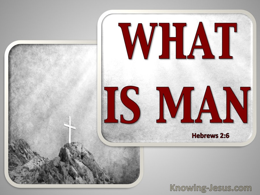 Hebrews 2:6 What Is Man (gray)